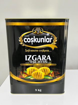IZGARA YEŞİL ZEYTİN 9 KG  HİPER BOY resmi